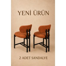 Edmonda Ev Aksesuar Liza 2 Adet Mutfak Sandalyesi Yemek Odası Sandalyesi Siyah Metal