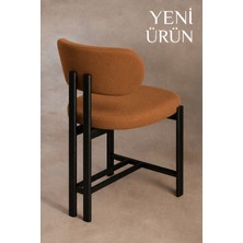 Edmonda Ev Aksesuar Liza Mutfak Sandalyesi Yemek Masası  Sandalyesi Siyah Metal