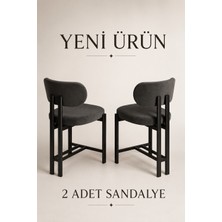 Edmonda Ev Aksesuar Liza 2 Adet Mutfak Sandalyesi Yemek Odası Sandalyesi Siyah Metal