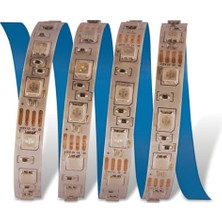 Cata CT-4545 Üç Çip Şerit LED Iç Mekan Rgb (5 Mt)