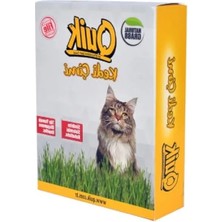 Erdo Ticaret Gerçek Topraklı Kedi Çimi