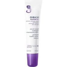 Erdo Ticaret Onarıcı Dudak Bakım Kremi Shea Yağı ile 10 ml