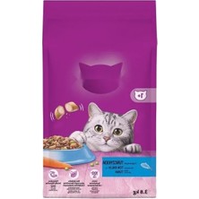 Erdo Ticaret Ton Balıklı Yetişkin Kuru Kedi Maması 3,8 kg