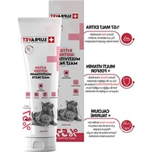 Erdo Ticaret Kalsiyum ve Taurinli Multi Vitamin Kedi Macunu, 100 gr