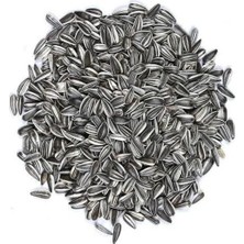 Erdo Ticaret Alaca Küçük Çekirdek Tohumu, 1 kg Paket