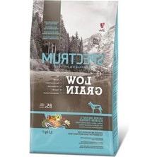 Erdo Ticaret Lg Somon Hamsi Orta Irk Yetişkin Köpek 2,5 kg
