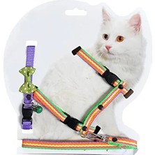 Erdo Ticaret Puantiyeli Kedi Göğüs ve Bel Gezdirme Takımı