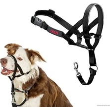 Erdo Ticaret Siyah Renkli Köpek Halter, Boyut 2, 35-48 cm