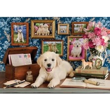 Erdo Ticaret Labrador Temalı 500 Parça Puzzle, Eğlenceli Zeka Geliştirici Aktivite