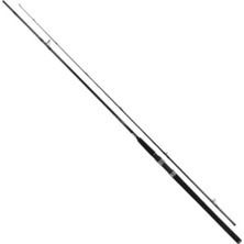 Erdo Ticaret 2.90M Uzunlukta Jig Kamışı - 20-75GR Kapasite