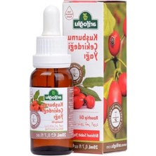 Erdo Ticaret Soğuk Sıkım Kuşburnu Çekirdeği Yağı - 20ML