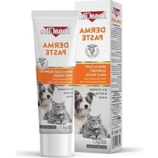 Erdo Ticaret 100 ml Deri ve Tüy Bakımını Destekleyici Malt Macun, Kedi ve Köpekler Için