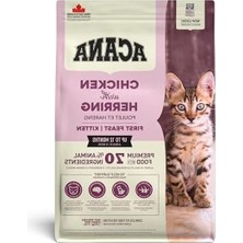 Erdo Ticaret 1.8 kg Yavru Kedi Maması, Her Boydan Cins Için Uygun Seçenek