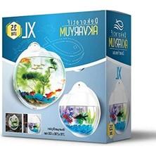 Erdo Ticaret 3,5 Litre 29 cm Dekoratif Duvar Akvaryumu, Estetik Tasarım