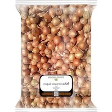 Erdo Ticaret 500 gr Kıska Soğan, Arpacık Soğan Tohumu