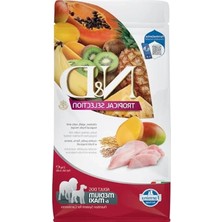 Erdo Ticaret Tropical Meyveli Tavuklu Orta ve Büyük Irk Yetişkin Köpek Maması 2 kg