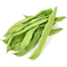 Erdo Ticaret Yüksek Kaliteli Romano Fasulye Tohumu - 25 Gram