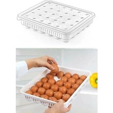 Erdo Ticaret 30'lu Kapaklı Yumurta Saklama Kabı, Akrilik Plastik Yapılı