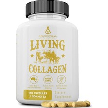 Ancestral Supplements Grass Fed Beef Living Collagen 3000MG 180 Capsul  Promotes Healthier Younger Looking Skin Hair Nails Joints Type Iı.