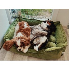 Empressco Renkli Büyük Boy Köpek Yatağı 65X85 Cm, Konforlu ve Şık Tasarım