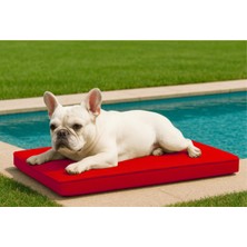 Empressco Su Geçirmez Dış Mekan Köpek Yatağı Fermuarlı 49X67X7 cm