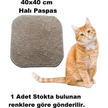 Empressco Yumuşak Peluş Kedi Kulübesi 40X40 Cm, Konforlu ve Rahat Alan