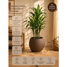 Can Botanik Küre Saksı Mocha Renk 30 cm Plastik Içliksiz