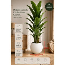Can Botanik 30 cm Küre Beyaz Saksı Plastik Malzeme ile Hafif ve Dayanıklı Modern Tasarım