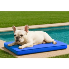 Empressco Su Geçirmez Dış Mekan Köpek Yatağı 49X67X7 Cm, Fermuarlı ve Konforlu