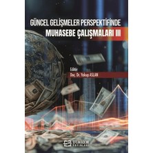 Efe Akademi Yayınları Güncel Gelişmeler Perspektifinde Muhasebe Çalışmaları Iıı