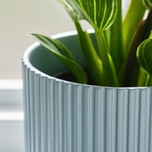 Ikea Daksjus Toprak Saksı, Mavi, 2 Adet