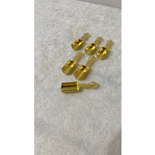 Empressco Usd Home 6lı Gold  Baharatlık Kürek Kaşık - Fiyatı, Yorumları
