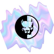 Rebon Moto Design Motosiklet Grenaj Ekipman Hologram Sticker 10'lu Paket 15