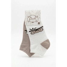 Cocole Socks Erkek Çocuk Patik Çorabı 2’li Set Krem & Bej Koala Desenli