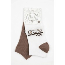 Cocole Socks Çocuk Patik Çorabı 2’li Set Pamuklu Ekru & Kahverengi Koala Desenli