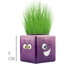 Hereveoyuncak Çim Adam Mini Küp Emoji Figürlü 1 Adett