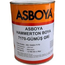 Asboya Hammerton Gümüş Gri 1/1 (0.700KG )