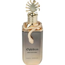 Paris Corner Ophidian Sweet Surrender Edp 100 ml Unisex Parfüm