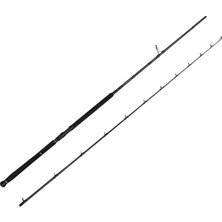 Savage Gear Defiance Sg2 Shore Jig 2.90M 15-60GR 2 Parça Olta Kamışı