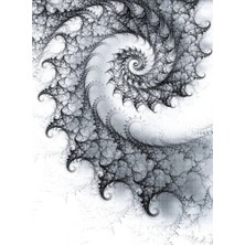 Arterior Wallpaper Monokrom Spiral Poster Duvar Kağıdı
