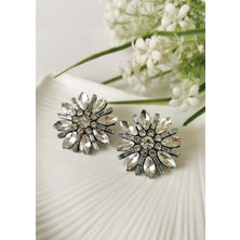 Halley Concept Crystal Bloom Taşlı Küpe