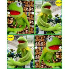 Oyuncak Sahili Susam Sokağı Kurbağa Kermit 41CM Nostalji Peluş Oyuncak Hediye Paketli Mükemmel Kalite