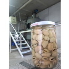 Güven Keçiboynuzu Fabrika Iç Baklakonservesi 660GR