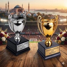 Best Hediye Altın veya Gümüş Şampiyon Ödül Kupası - 23CM-istenilen yazıyla