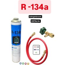 Dogant R134A Klima Gaz  + Vana+ Hortum