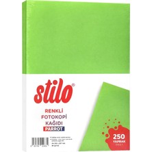 Stilo A4 Renkli Fotokopi Kağıdı 250 'li 80 Gram Parrot