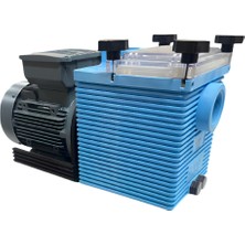 Santem Etag 0,75 Hp / 0,55 Kw Ön Filtreli Monofaze Havuz Pompası