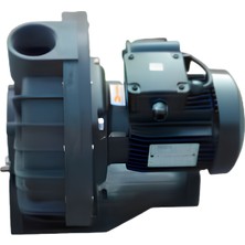 Santem General Water Visco 3 Hp / 2,2 Kw Ön Filtresiz Monofaze Havuz Pompası