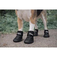 Ohbe Express Köpek Ayakkabısı 4’lü Set Su Geçirmez Kaymaz Tabanlı Köpek Botu Küçük Orta Irk Köpekler Için Koruyucu Patik Yağmur Kar Çamur Için Dayanıklı Evcil Hayvan Ayakkabısı Siyah (Medium)