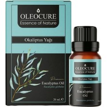 Ohbe Express Oleocure Okaliptus Yağı (Eucalyptus Oil) 20 ml